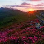 SilverAdo2021 Profile Picture