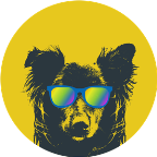 Shashi s Profile Picture